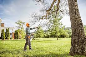 Best Tree Disease Treatment  in Minnehaha, WA